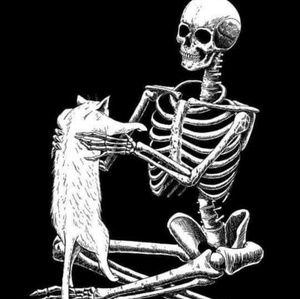 Meet your Posher, Bea